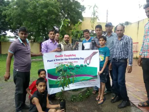 Tree Plantation 2016 – Tree Plantation 2016