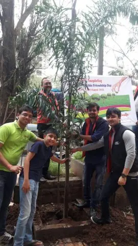 Tree Plantation 2016 – Tree Plantation 2016