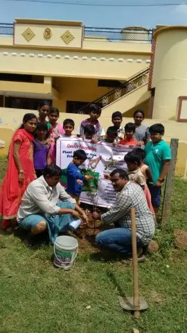 Tree Plantation 2016 – Tree Plantation 2016