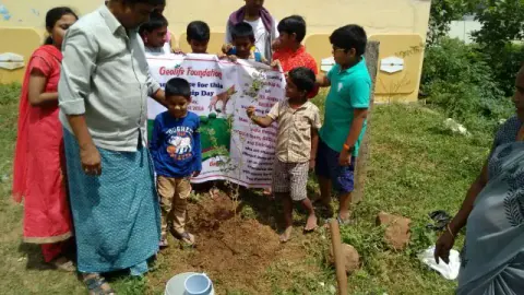 Tree Plantation 2016 – Tree Plantation 2016