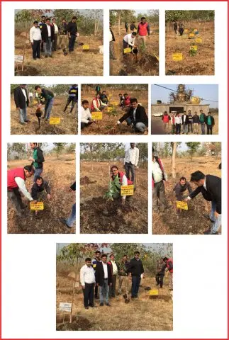 Tree Plantation 2016 – Tree Plantation 2016