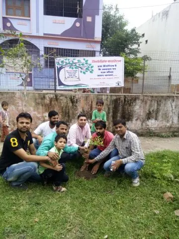 Tree Plantation 2017 – Tree Plantation 2017