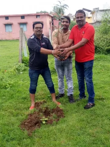 Tree Plantation 2017 – Tree Plantation 2017
