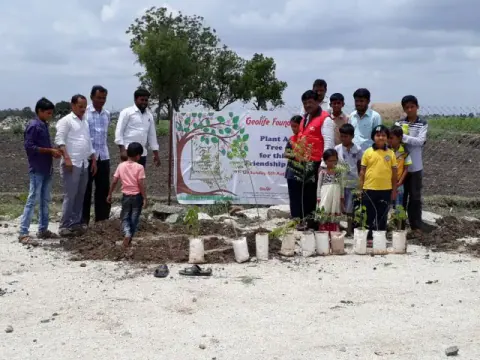 Tree Plantation 2017 – Tree Plantation 2017