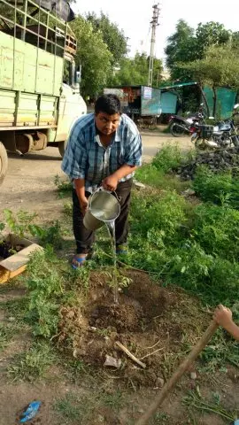 Tree Plantation 2017 – Tree Plantation 2017