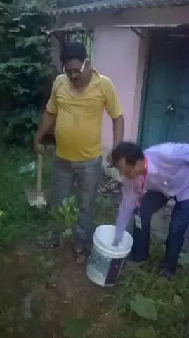 Tree Plantation 2017 – Tree Plantation 2017