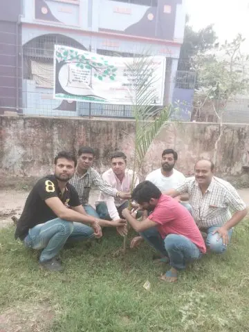 Tree Plantation 2017 – Tree Plantation 2017