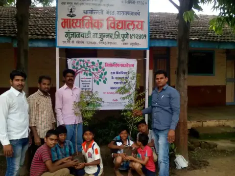 Tree Plantation 2017 – Tree Plantation 2017