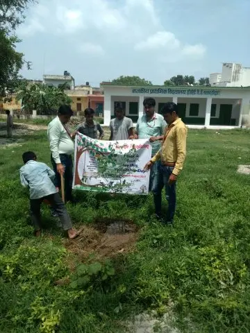 Tree Plantation 2017 – Tree Plantation 2017