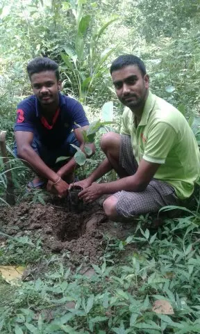 Tree Plantation 2017 – Tree Plantation 2017