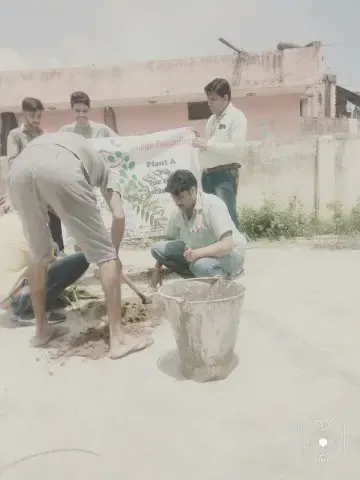 Tree Plantation 2017 – Tree Plantation 2017