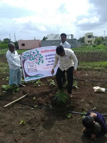 Tree Plantation 2017 – Tree Plantation 2017