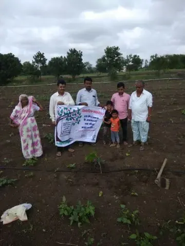 Tree Plantation 2017 – Tree Plantation 2017