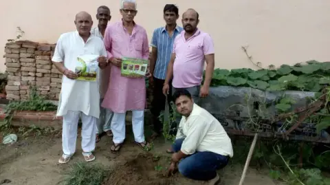 Tree Plantation 2017 – Tree Plantation 2017