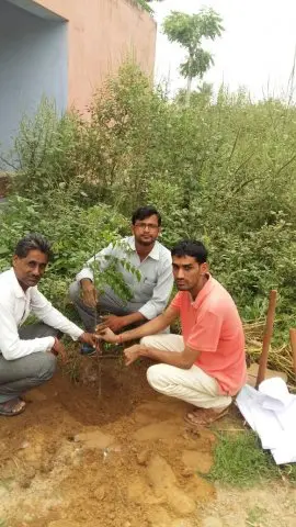 Tree Plantation 2017 – Tree Plantation 2017