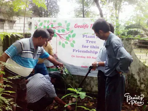 Tree Plantation 2017 – Tree Plantation 2017