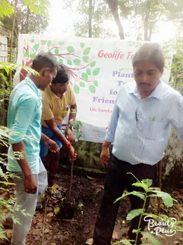 Tree Plantation 2017 – Tree Plantation 2017