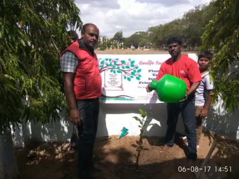 Tree Plantation 2017 – Tree Plantation 2017