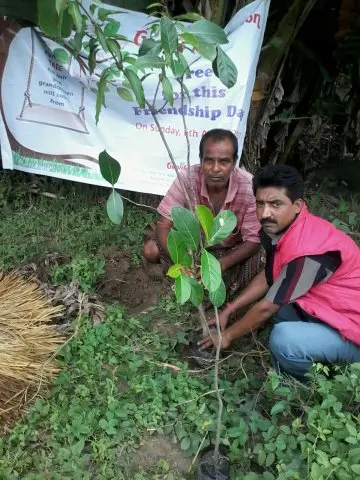 Tree Plantation 2017 – Tree Plantation 2017