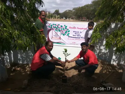 Tree Plantation 2017 – Tree Plantation 2017