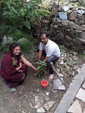 Tree Plantation 2017 – Tree Plantation 2017