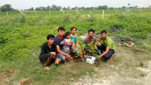 Tree Plantation 2018 – Tree Plantation 2018