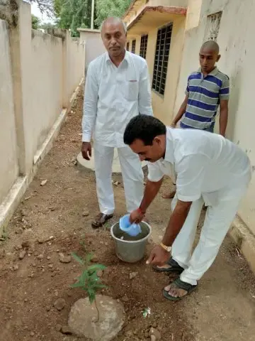 Tree Plantation 2018 – Tree Plantation 2018