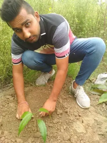 Tree Plantation 2018 – Tree Plantation 2018