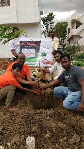 Tree Plantation 2018 – Tree Plantation 2018