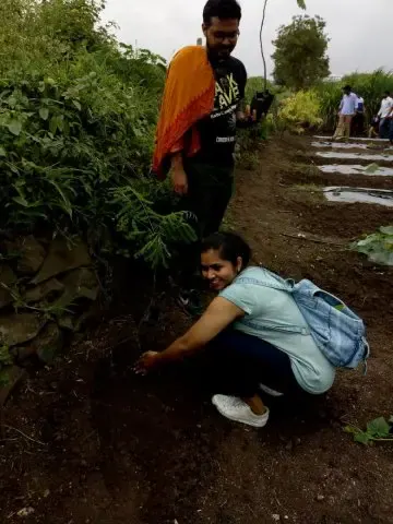 Tree Plantation 2018 – Tree Plantation 2018