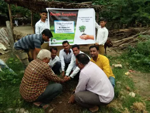 Tree Plantation 2018 – Tree Plantation 2018