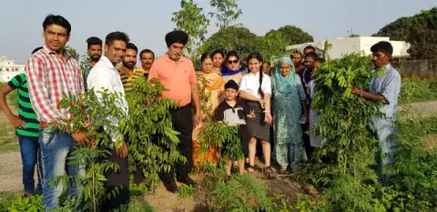 Tree Plantation 2018 – Tree Plantation 2018
