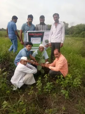 Tree Plantation 2018 – Tree Plantation 2018