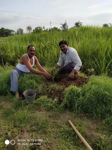 Tree Plantation 2019 – Ahmednagar