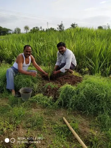 Tree Plantation 2019 – Ahmednagar