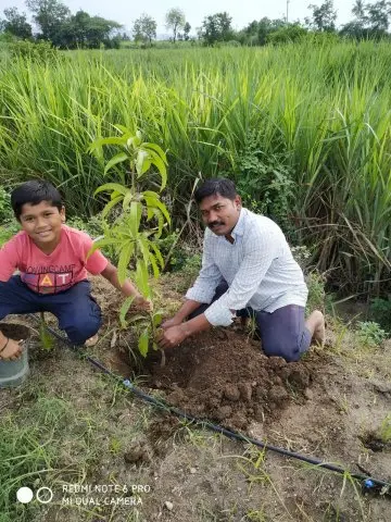 Tree Plantation 2019 – Ahmednagar