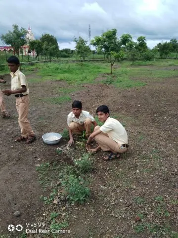 Tree Plantation 2019 – Ahmednagar