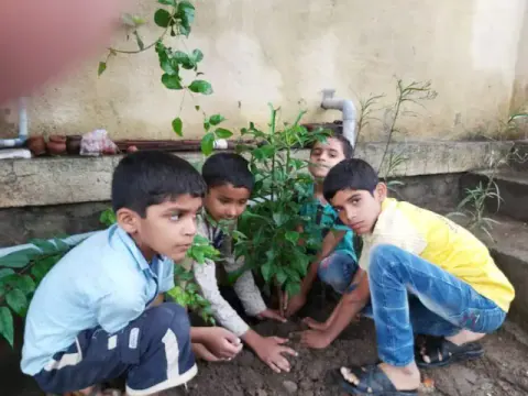 Tree Plantation 2019 – Ahmednagar