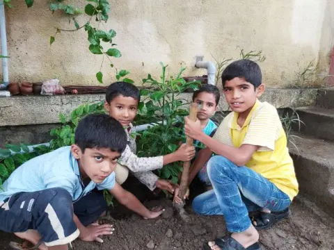 Tree Plantation 2019 – Ahmednagar