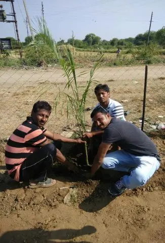Tree Plantation 2019 – Akola