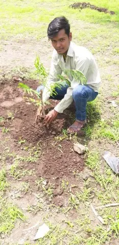 Tree Plantation 2019 – Akola