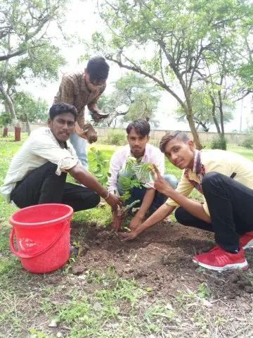 Tree Plantation 2019 – Akola