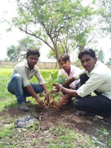 Tree Plantation 2019 – Akola