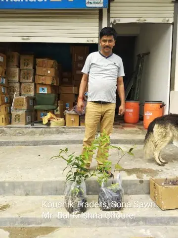 Tree Plantation 2019 – Babai