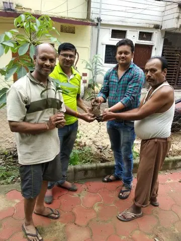 Tree Plantation 2019 – Babai
