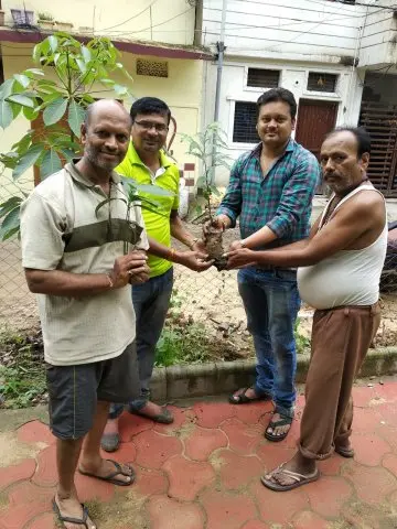 Tree Plantation 2019 – Babai