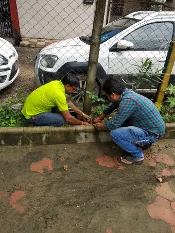 Tree Plantation 2019 – Babai