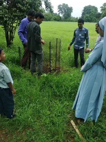 Tree Plantation 2019 – Babai