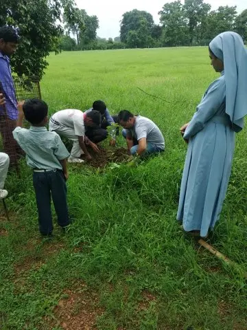 Tree Plantation 2019 – Babai