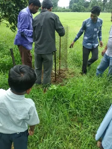 Tree Plantation 2019 – Babai
